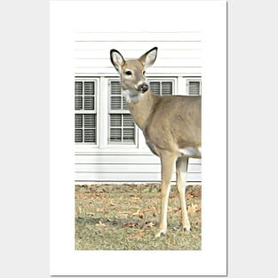 Deer and Cottage No.1 Posters and Art